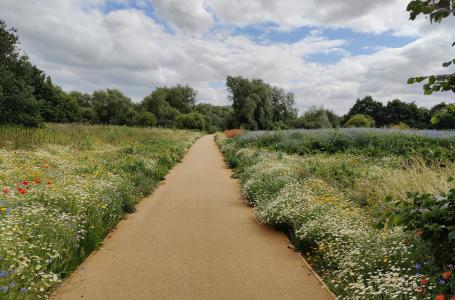 Stratford-upon-Avon Local Nature Reserve